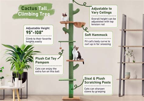 8 Best Floor To Ceiling Cat Trees Of 2024 Ultimate Guide