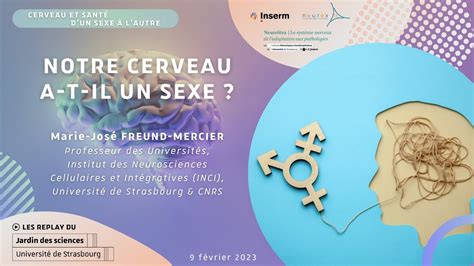 Cerveau Sant D Un Sexe L Autre Notre Cerveau A T Il Un Sexe