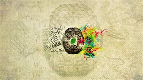 Left Brain Right Brain Wallpapers Top Free Left Brain Right Brain