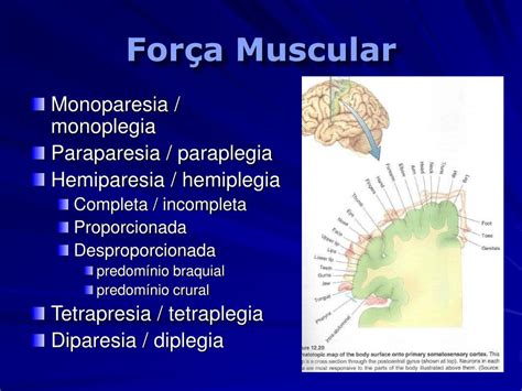 Ppt PropedÊutica NeurolÓgica Powerpoint Presentation Free Download