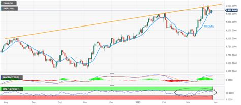 Gold Price Forecast Xau Usd Is In Pressure Mode As Markets Reassess