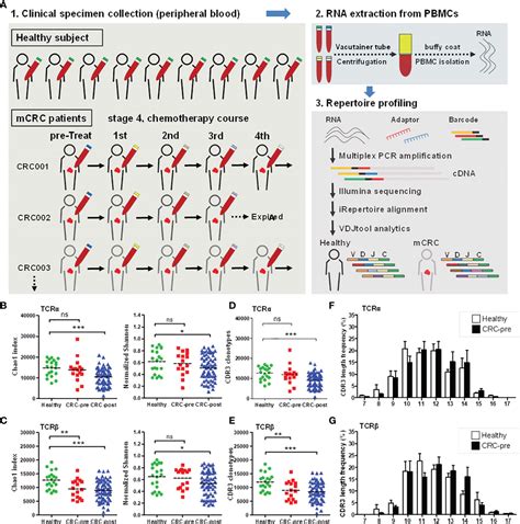 Frontiers Longitudinal High Throughput Sequencing Of The T Cell Receptor Repertoire Reveals