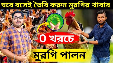 Part 1 সম্পূর্ণ 0 খরচে মুরগি পালন। এবার ঘরে বসেই তৈরি করুন সকল মুরগির