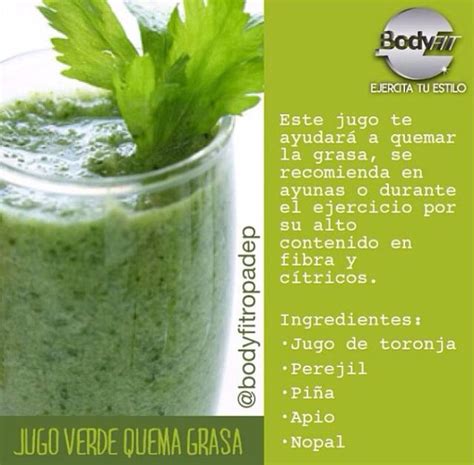 Arriba Imagen Recetas De Jugos Verdes Para Quemar Grasa Viaterra Mx