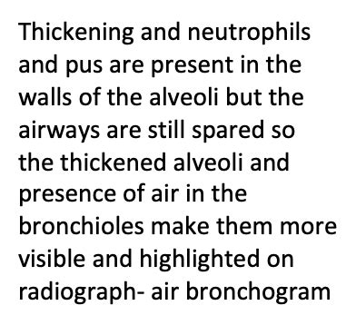 Alveolar Disease Flashcards Quizlet