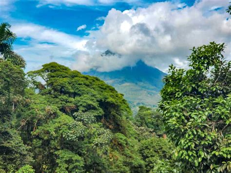 How to Visit Mistico Hanging Bridges in Arenal, Costa Rica