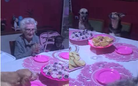 Abuelita festeja su cumpleaños al lado de sus perros y sorprende a las