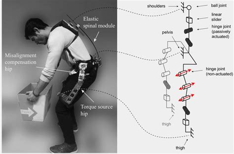 Passive Back Support Exoskeleton In The Elastic Spinal Module Two