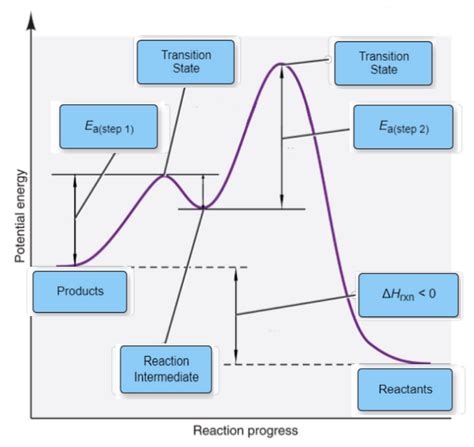 Label The Following Multi Step Reaction Energy Diagram