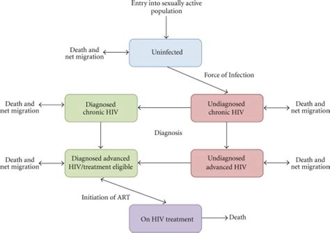 Schematic Diagram Of The Stages Of Hiv Infection Descri Open I