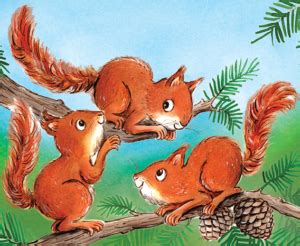 The Baby Red Squirrel Rescue Activities – DiscoverKelpies