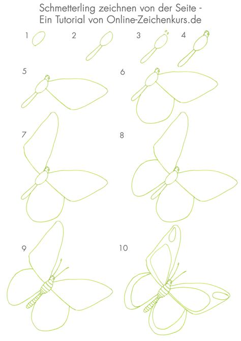 Schmetterling Zeichnen Eine Zeichenanleitung F R Kinder