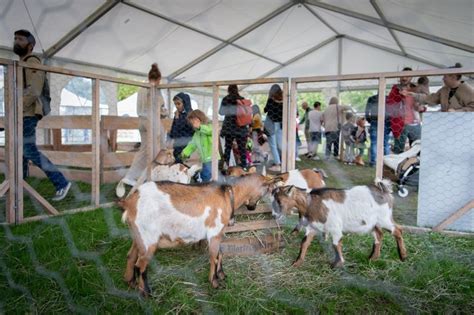 Fête de l Abeille et du Terroir 2022 en images Ville de Lancy