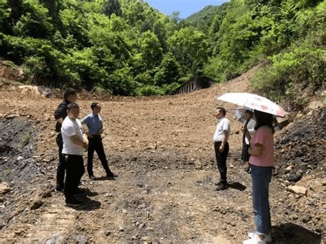 【镇巴生态环境保护督察】自然资源局、住建局、黎坝镇工作