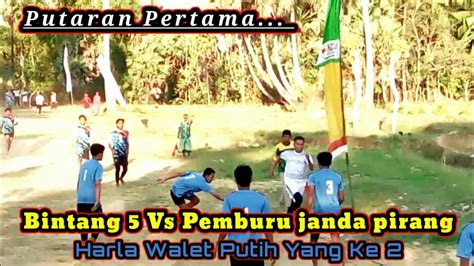 Bintang Vs Pemburu Janda Pirang Harla Walet Putih Putaran