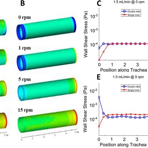 Luminal Wall Shear Stress Within The Bioreactor Wall Shear Stress