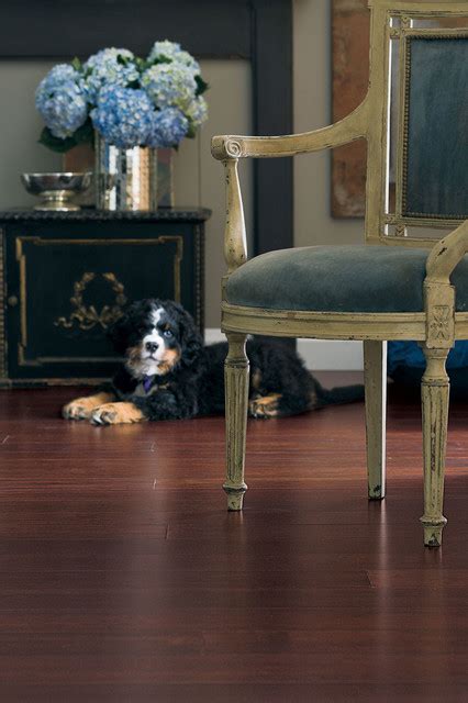 Teragren Bamboo Flooring Victorian Living Room Chicago By Green Building Supply Houzz Uk