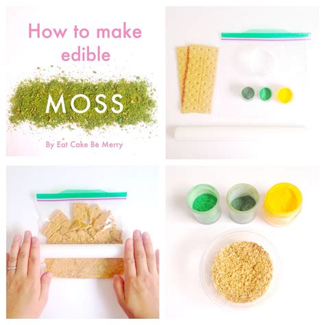 Edible Moss Tutorial Eat Cake Be Merry