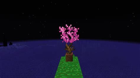 Miniature Cherry Blossom Tree Scrolller