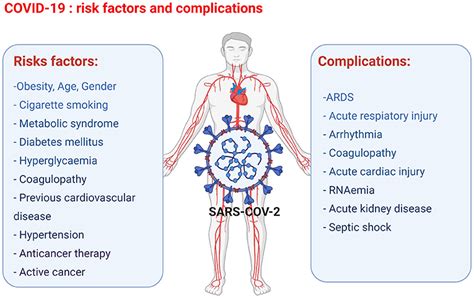 Frontiers Anti Cancer Therapy Leads To Increased Cardiovascular