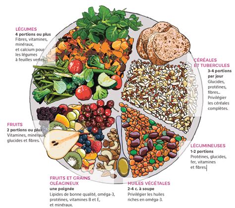 Une Alimentation V G Tale Saine Et Quilibr E Conseils Pratiques