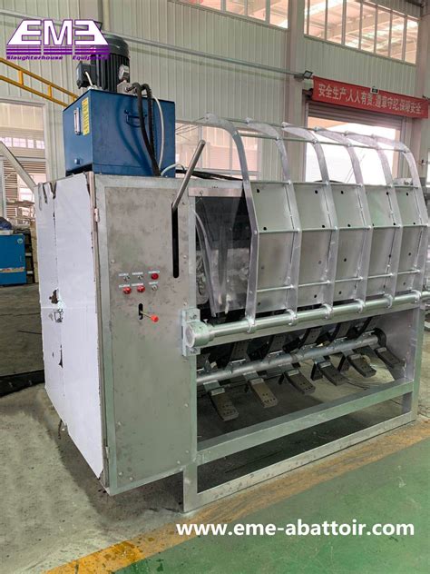 Complete Abattoir Plant Pig Slaughtering Line Carcass De Hairing