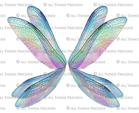 20 Png FAIRY WING Overlays Set 33 Insect Wings Fairy Wings Graphic