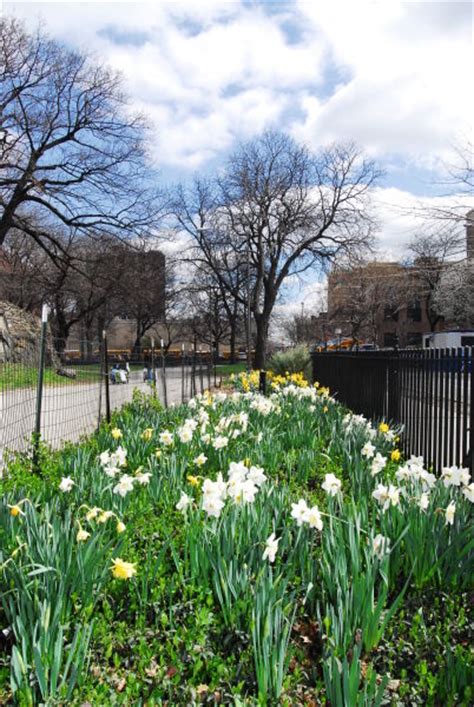 Marcus Garvey Park : NYC Parks