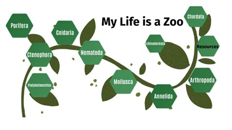 My Life Is A Zoo By Ava Millsaps