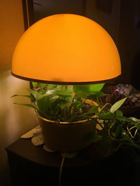 Magic Planter Plant Touch Lamp