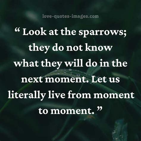 Positive Quotes For The Day » Love Quotes Images