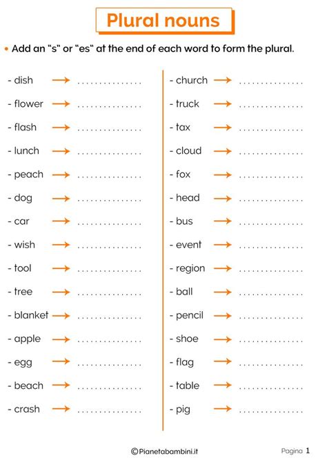 Il Plurale In Inglese Esercizi Per La Scuola Primaria English