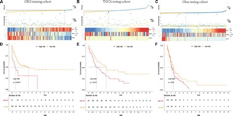 Frontiers Novel Gene Signature Reveals Prognostic Model In Acute