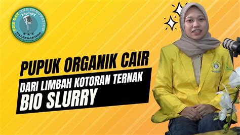 Pupuk Organik Cair Dari Limbah Kotoran Ternak Bio Slurry Youtube