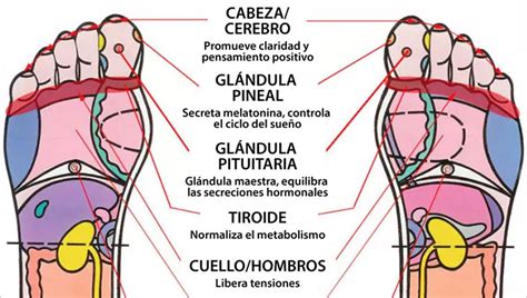 Aprende cómo hacerte reflexología de pies para que puedas dormir mejor