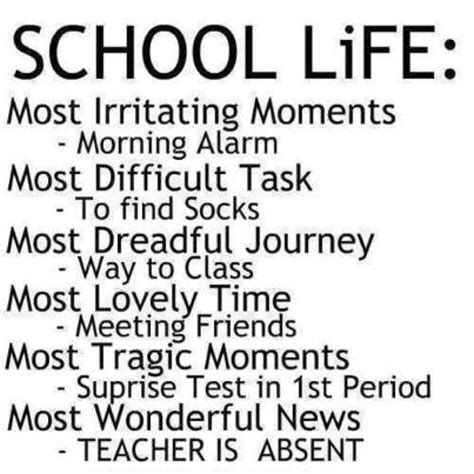 Funny Quotes On Students Life - ShortQuotes.cc