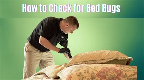 How To Detect Bed Bugs Symptoms Of Bedbug Bites YouTube