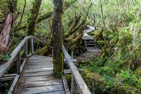 Chiloé National Park | National Parks Association