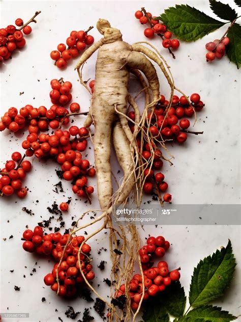 Stock Photo Overhead View Of Asian Ginseng Root Surrounded By Red