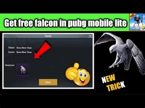 How To Get Free Companion Falcon In Pubg Mobile Lite Youtube