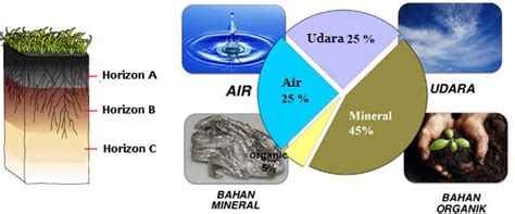 Proses Pembentukan Tanah Dan Komponen Penyusun Tanah