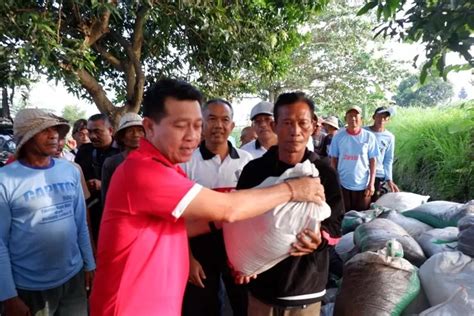 Petani Subak Toya Haa Dibantu Ton Pupuk Kompos Wujudkan Pertanian