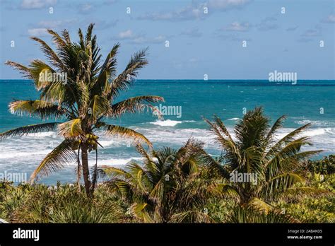 hutchinson island  res stock photography  images alamy