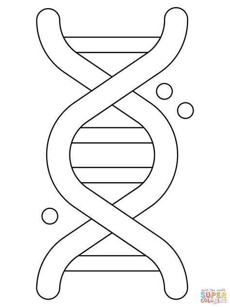 Dna Coloring Pages