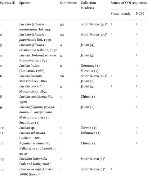 Summary of the firefly species examined in this study | Download ...