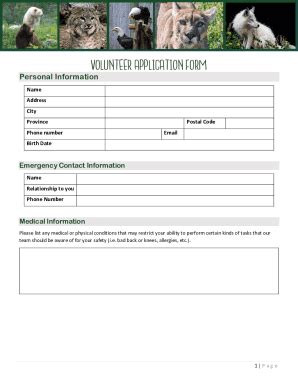 Fillable Online Volunteer Application Form For Non Profit Form Template