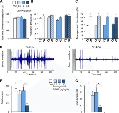 Effects Of Phthalate Di 2 Ethylhexyl Phthalate DEHP On Olfactory