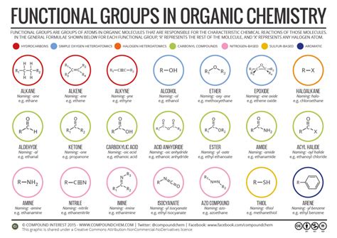 Functional Groups in Organic Compounds | Compound Interest