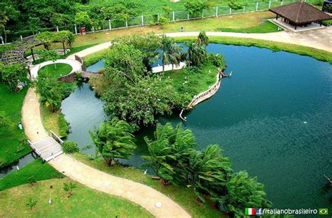 Belem Pa Mangal Das Gar As Parque Ecol Gico Italianobrasileiro