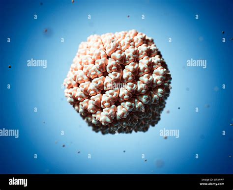 Rice Dwarf Virus Particle Artwork Stock Photo Alamy